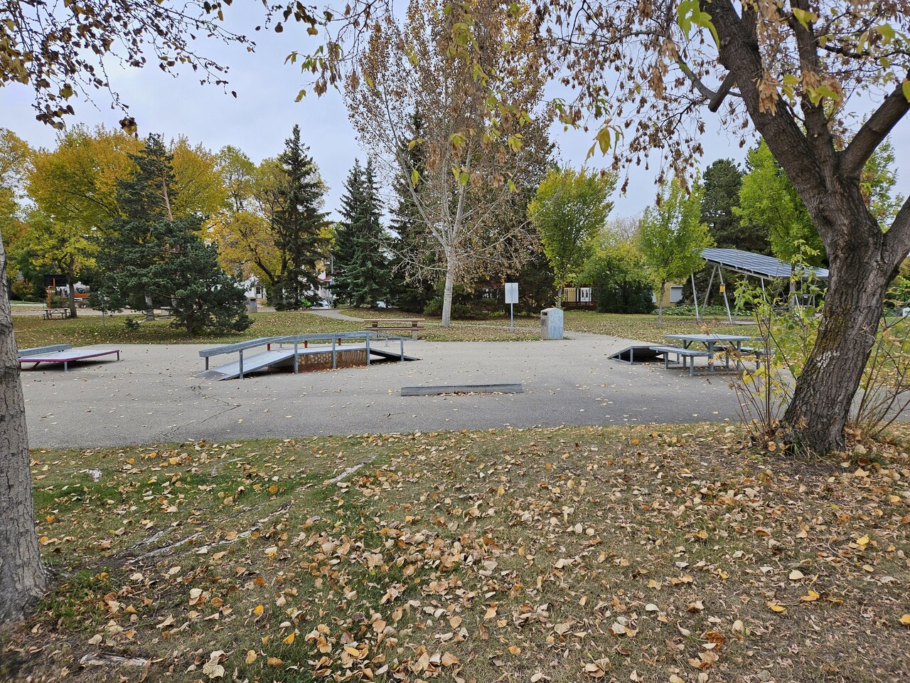 20241004_170128.jpg