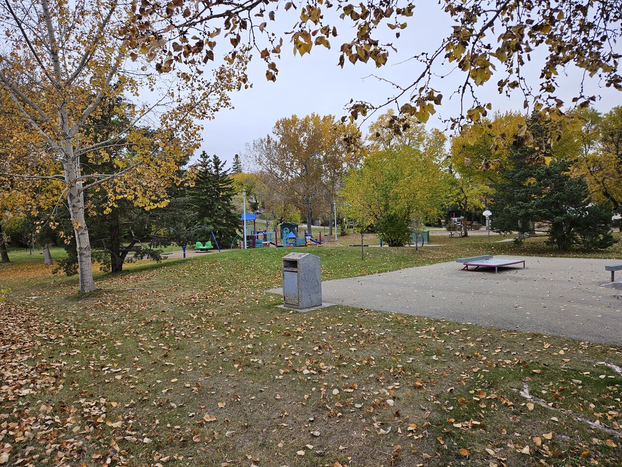 20241004_170134.jpg