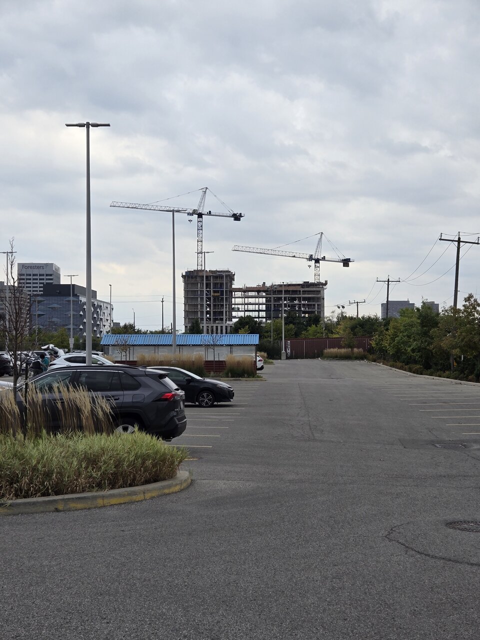 20241006_151234.jpg
