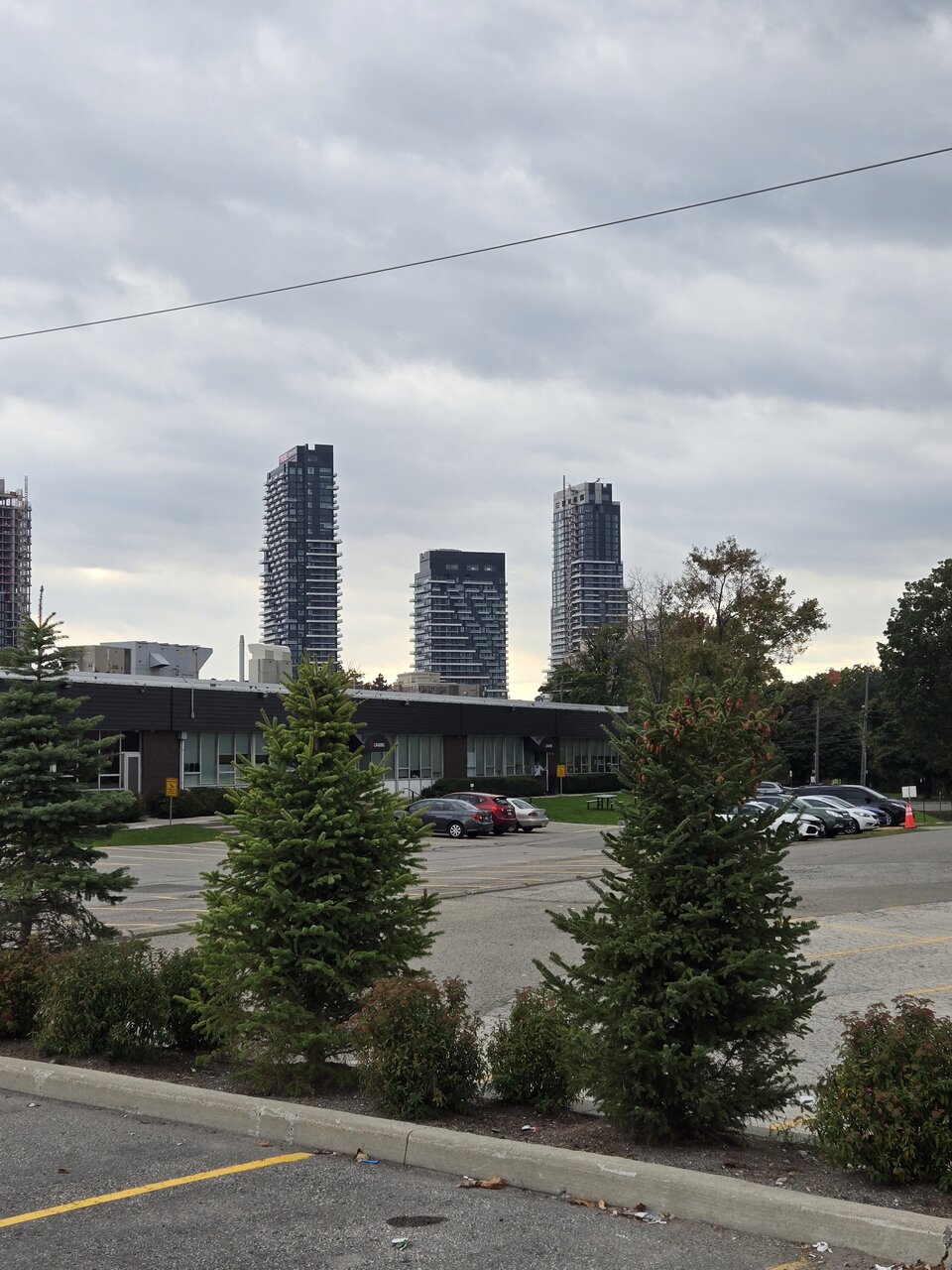 20241006_151255.jpg