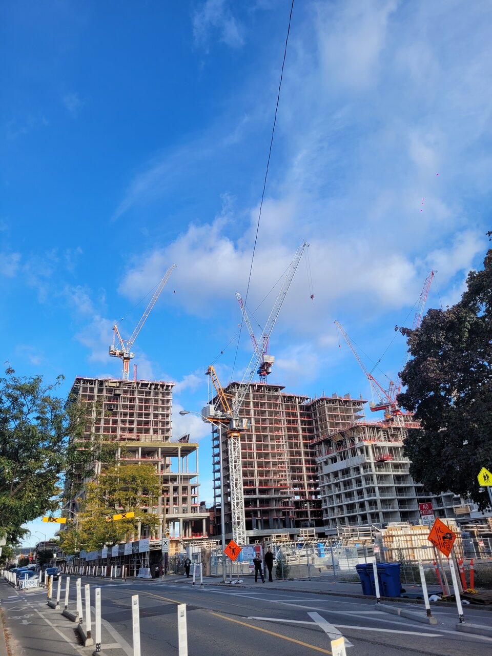 20241014_164847.jpg