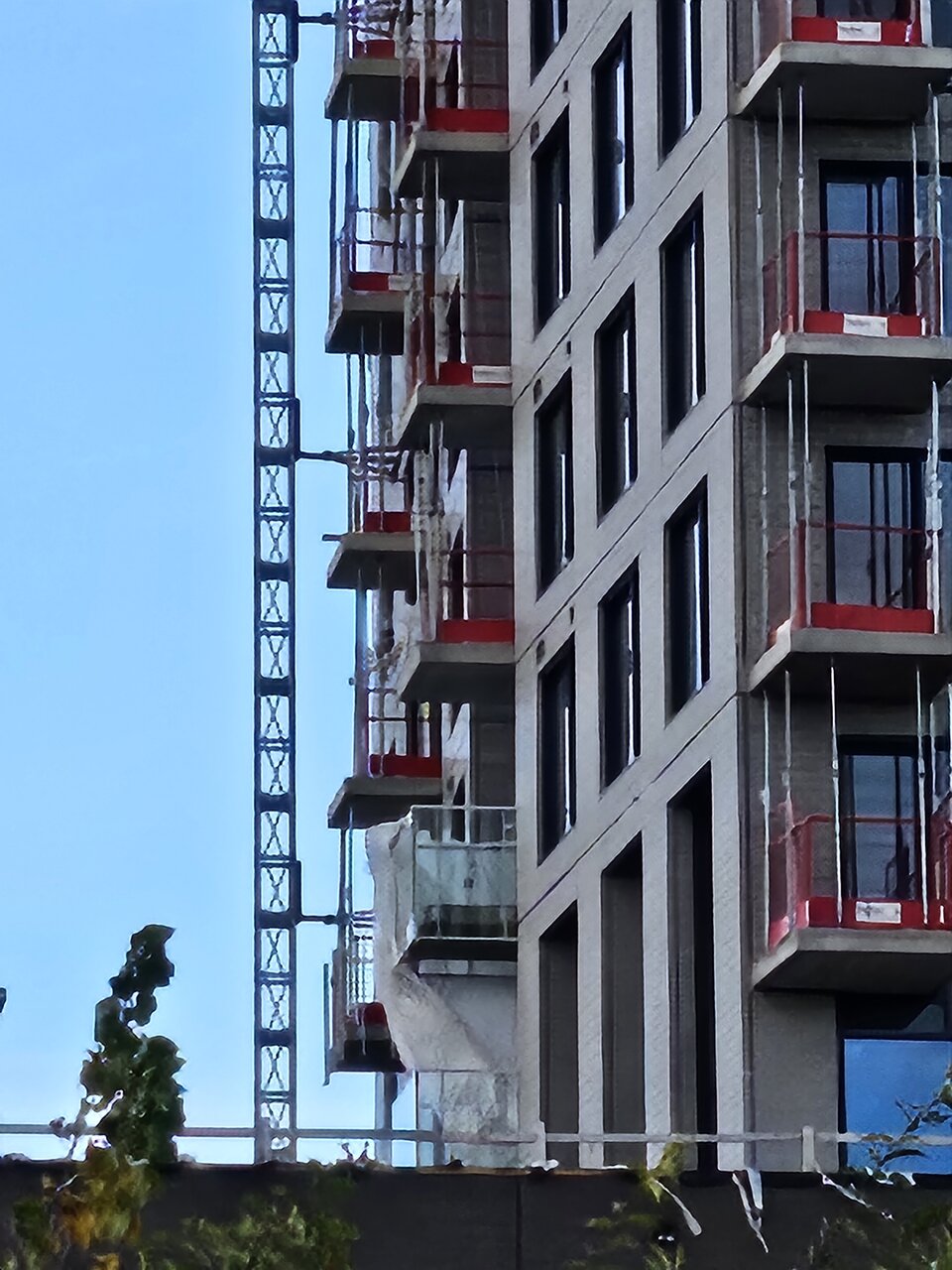 20241014_172744.jpg
