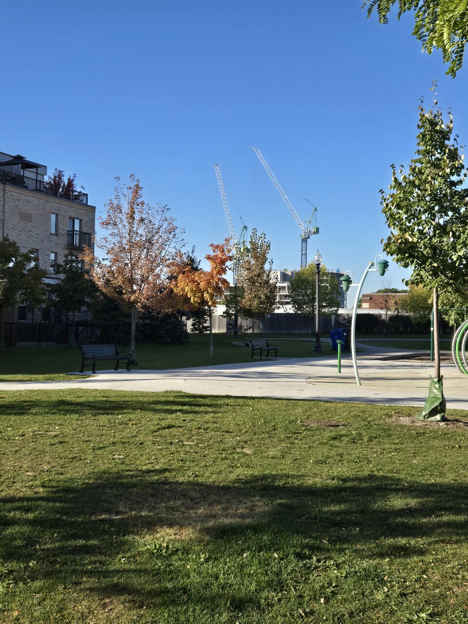 20241018_094431.jpg