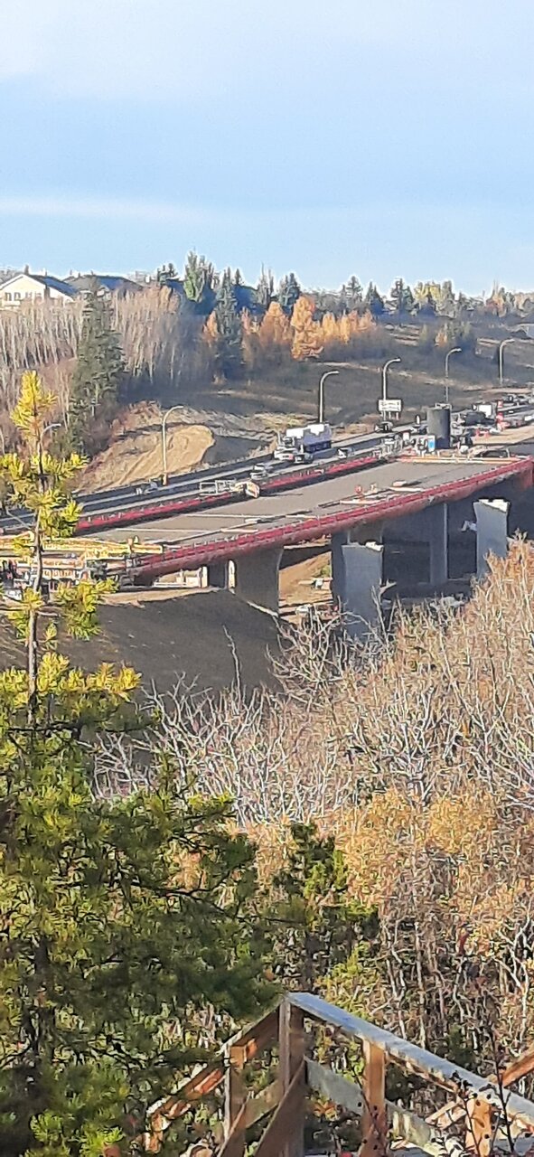 20241019_094310.jpg