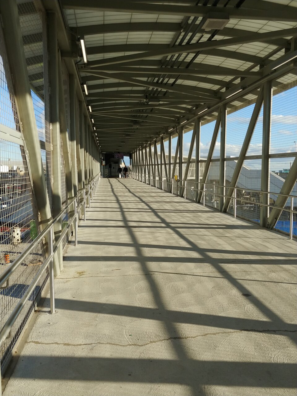 20241026_164457_HDR.jpg