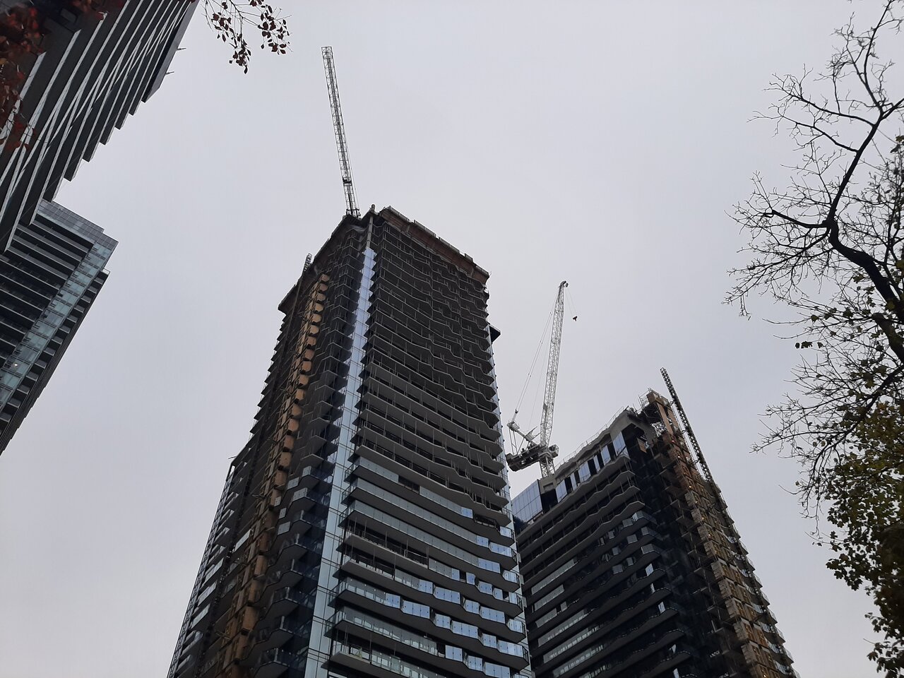 20241117_161043.jpg
