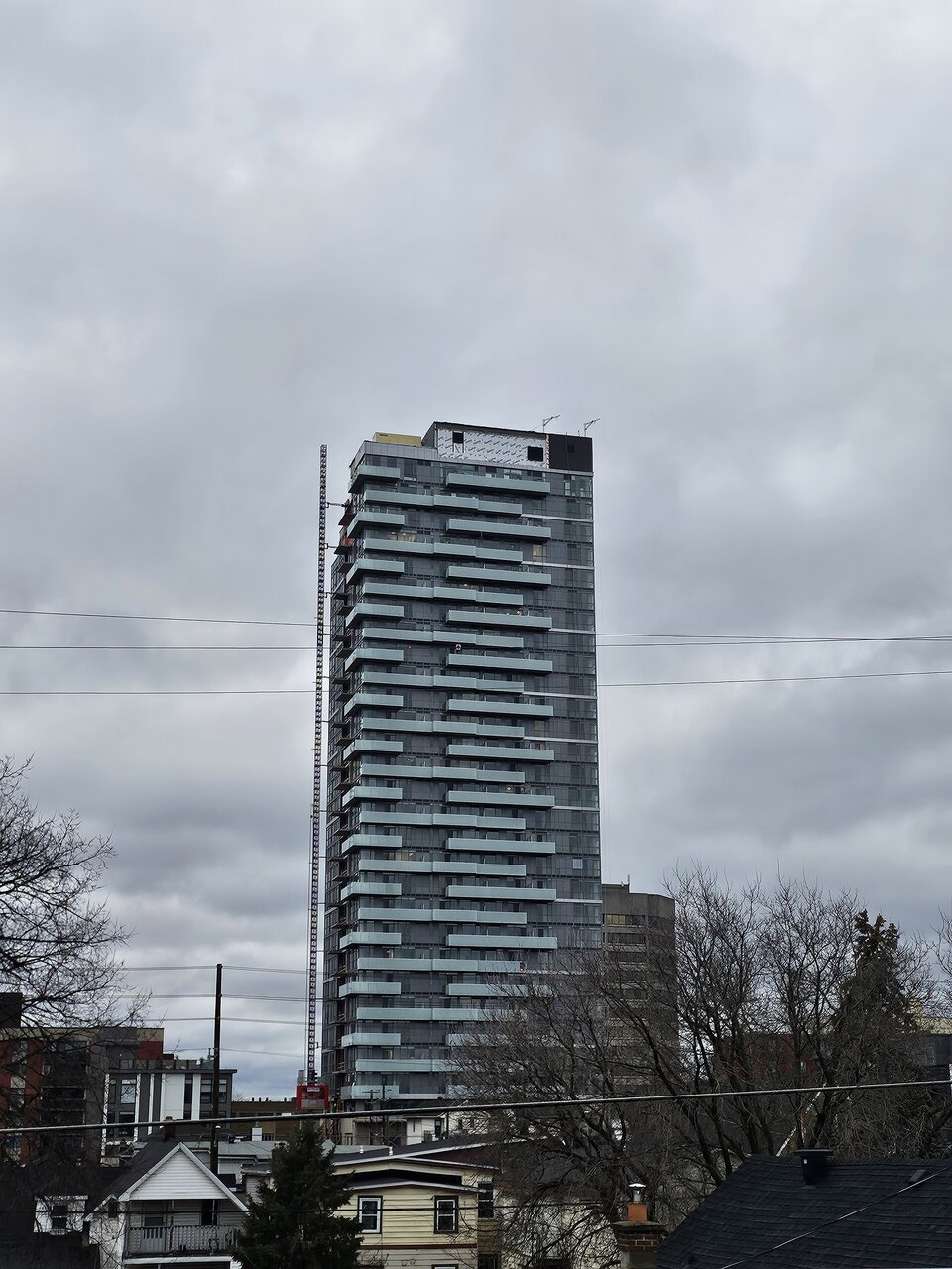 20241122_134327.jpg