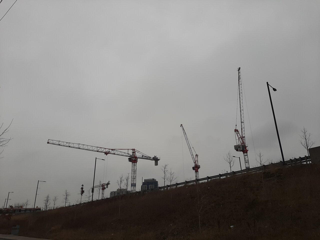 20241218_133916.jpg