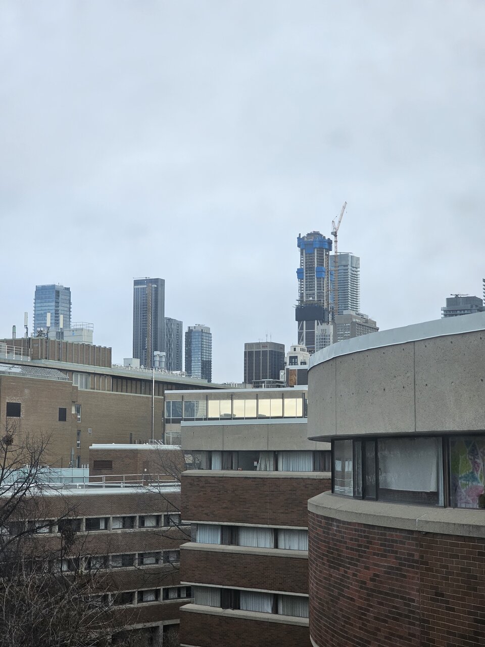 20250105_093942.jpeg