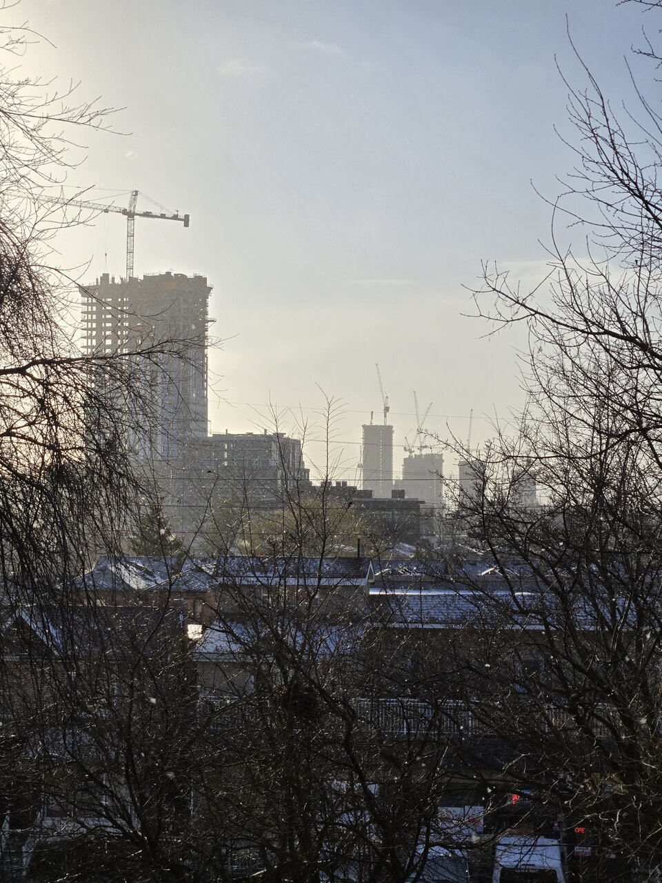 20250107_093225.jpg