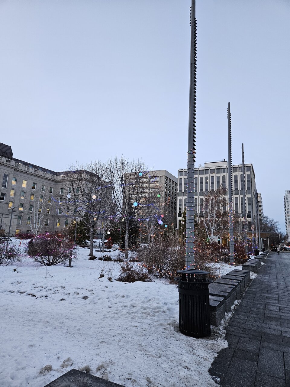 20250109_164145.jpg