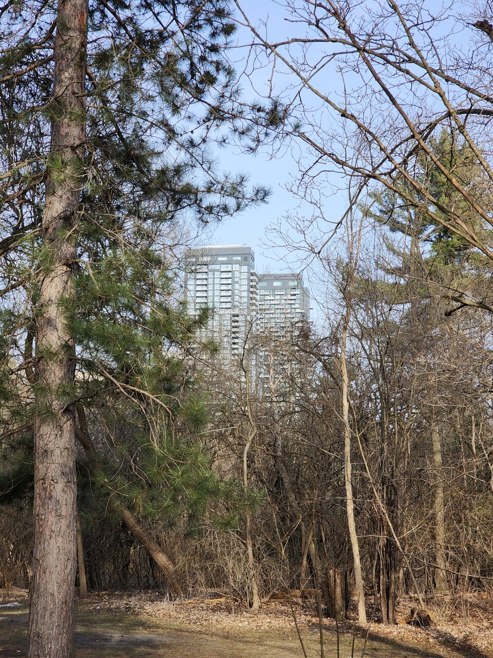 20250420_181513.jpg