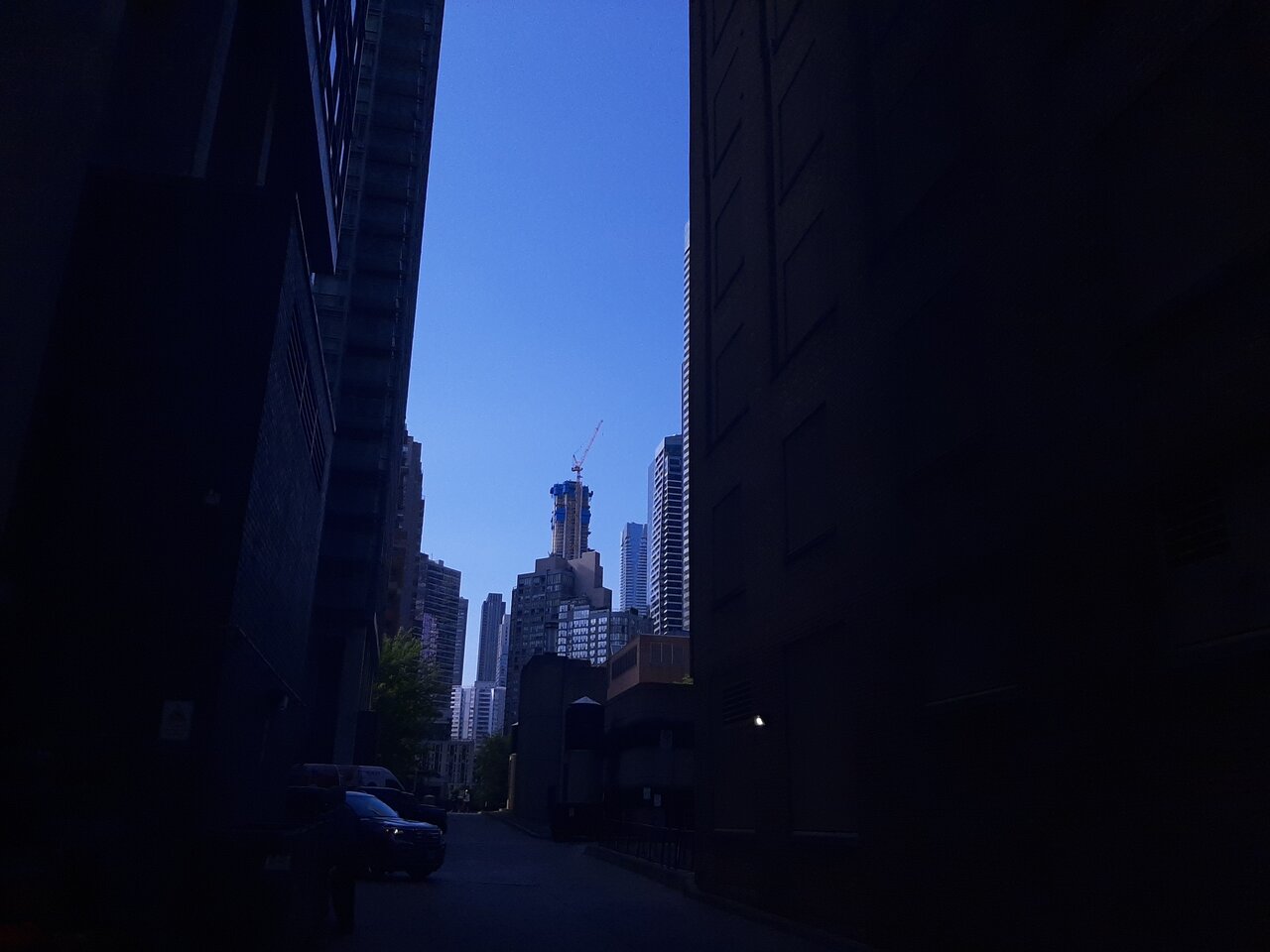 20250612_171149.jpg