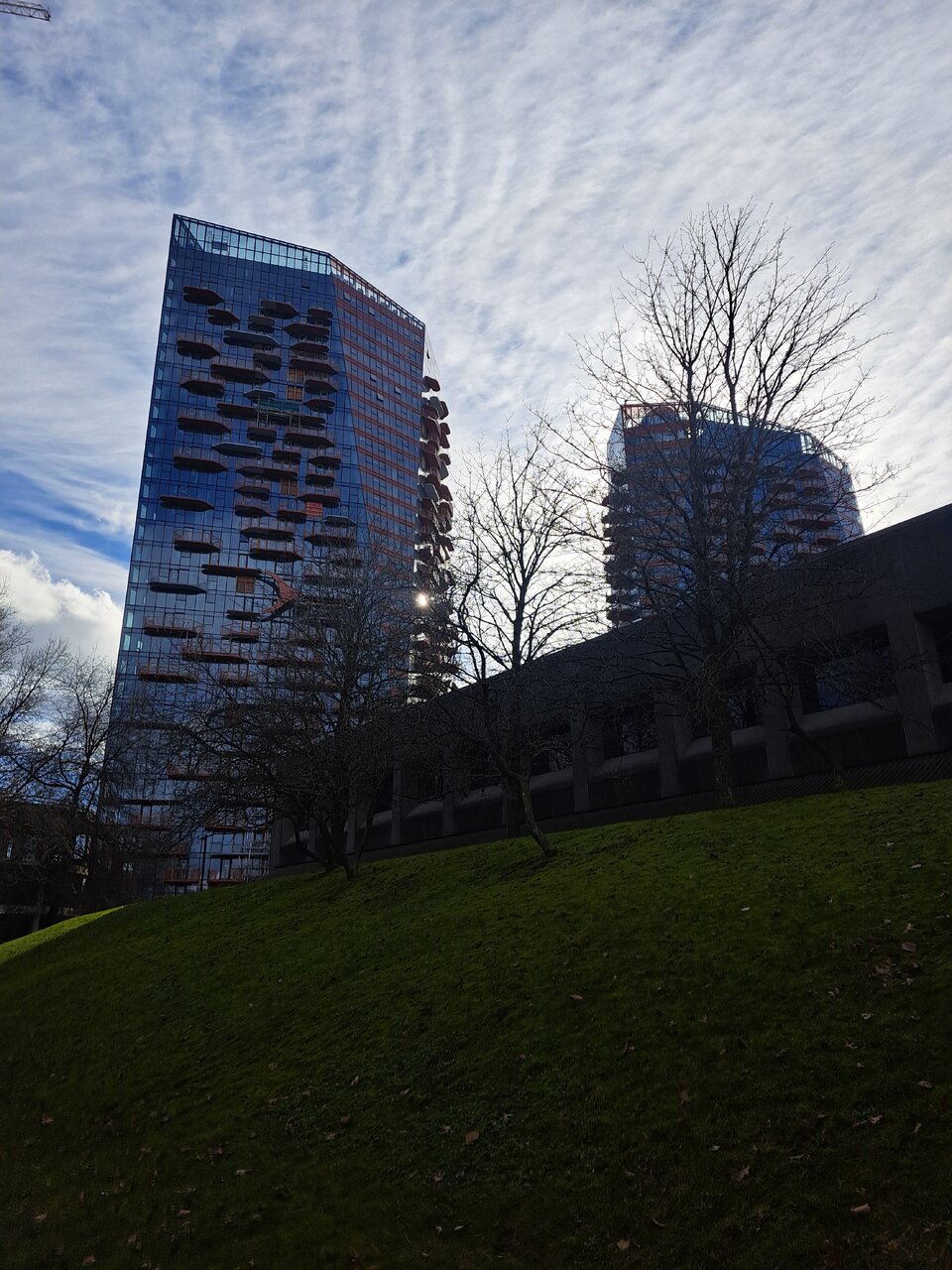 20260215_140452.jpg