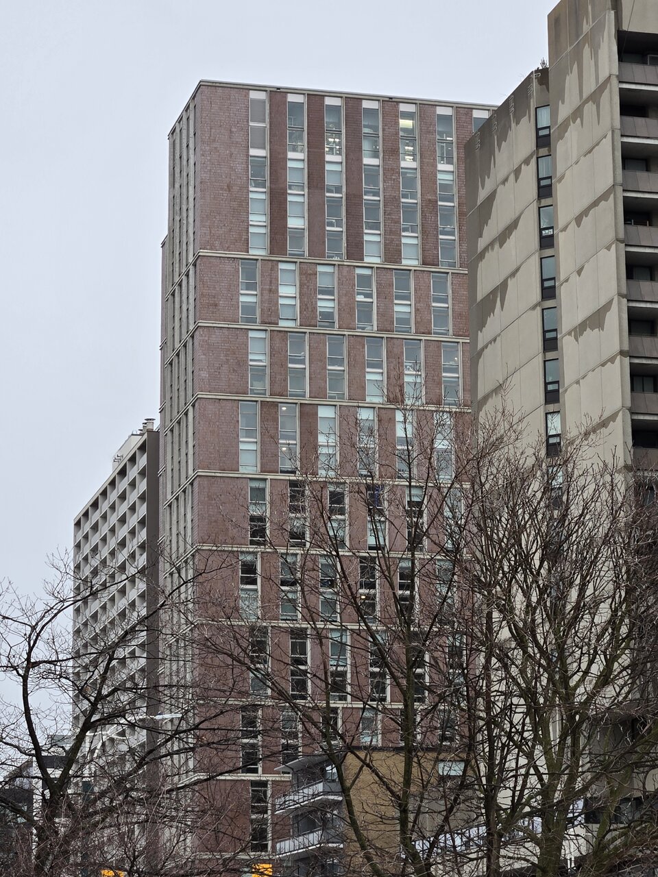 20260313_180428.jpg