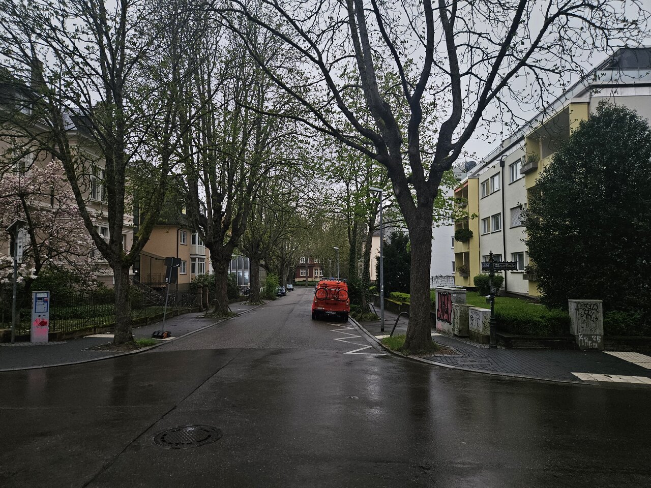 20260328_181907.jpg