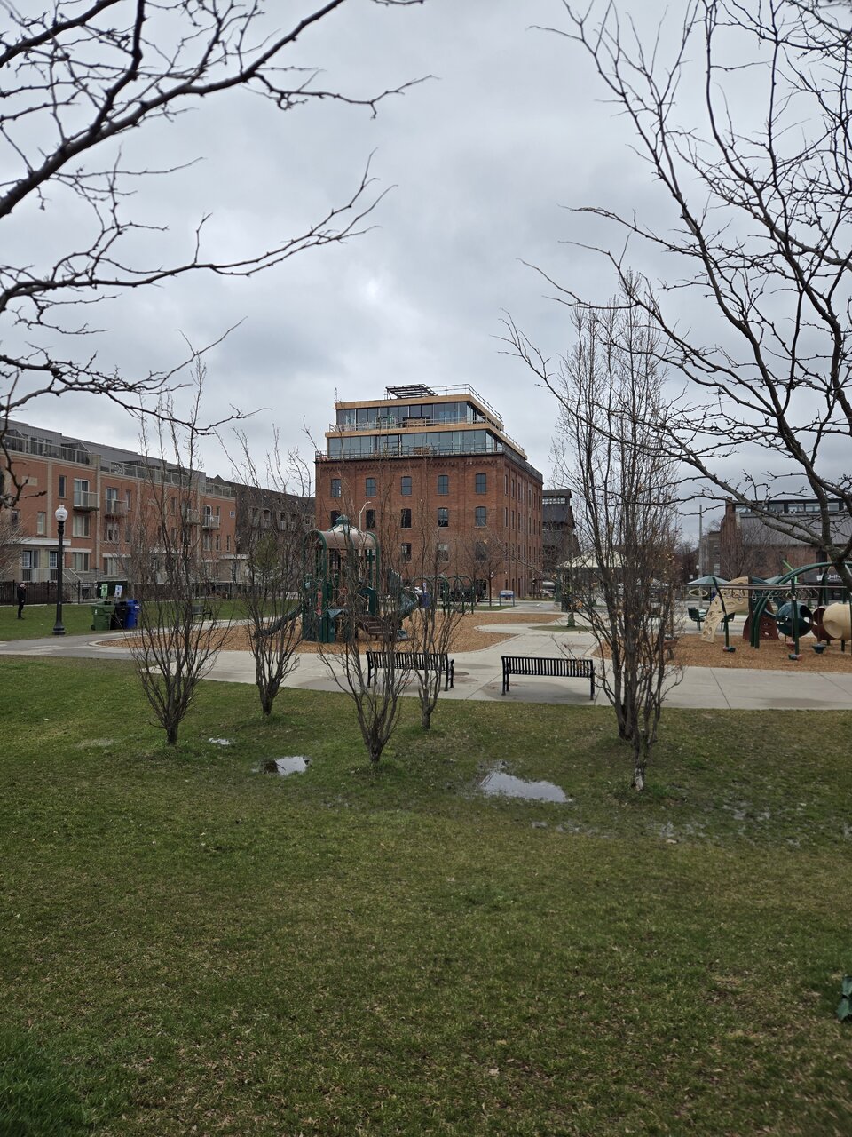 20260410_165151.jpg