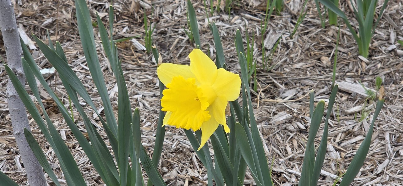 20260418_103911.jpg