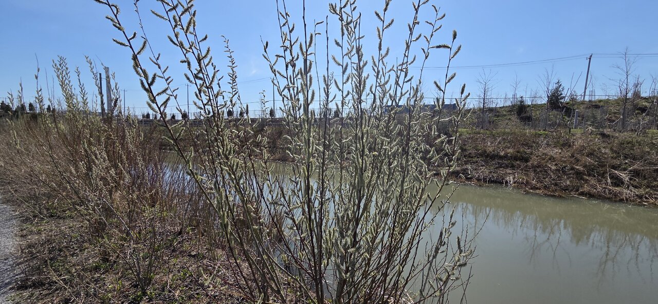 20260426_104801.jpg