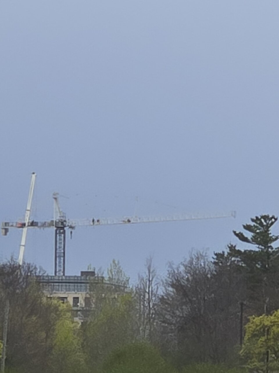 20260430_081607.jpg