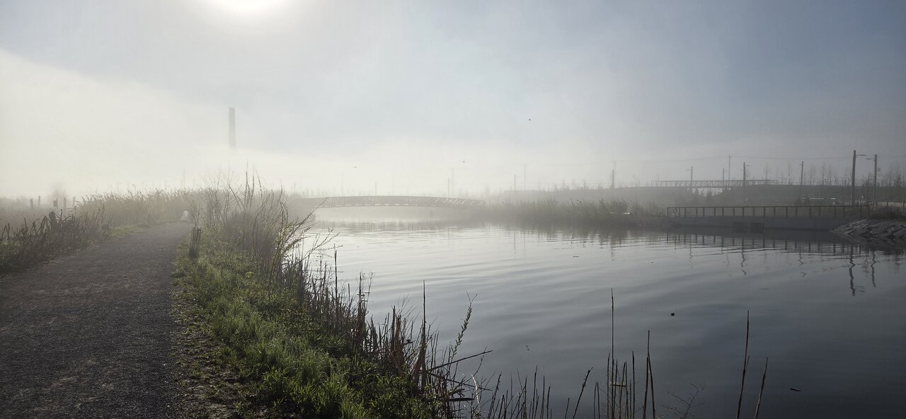 20260517_075450.jpg