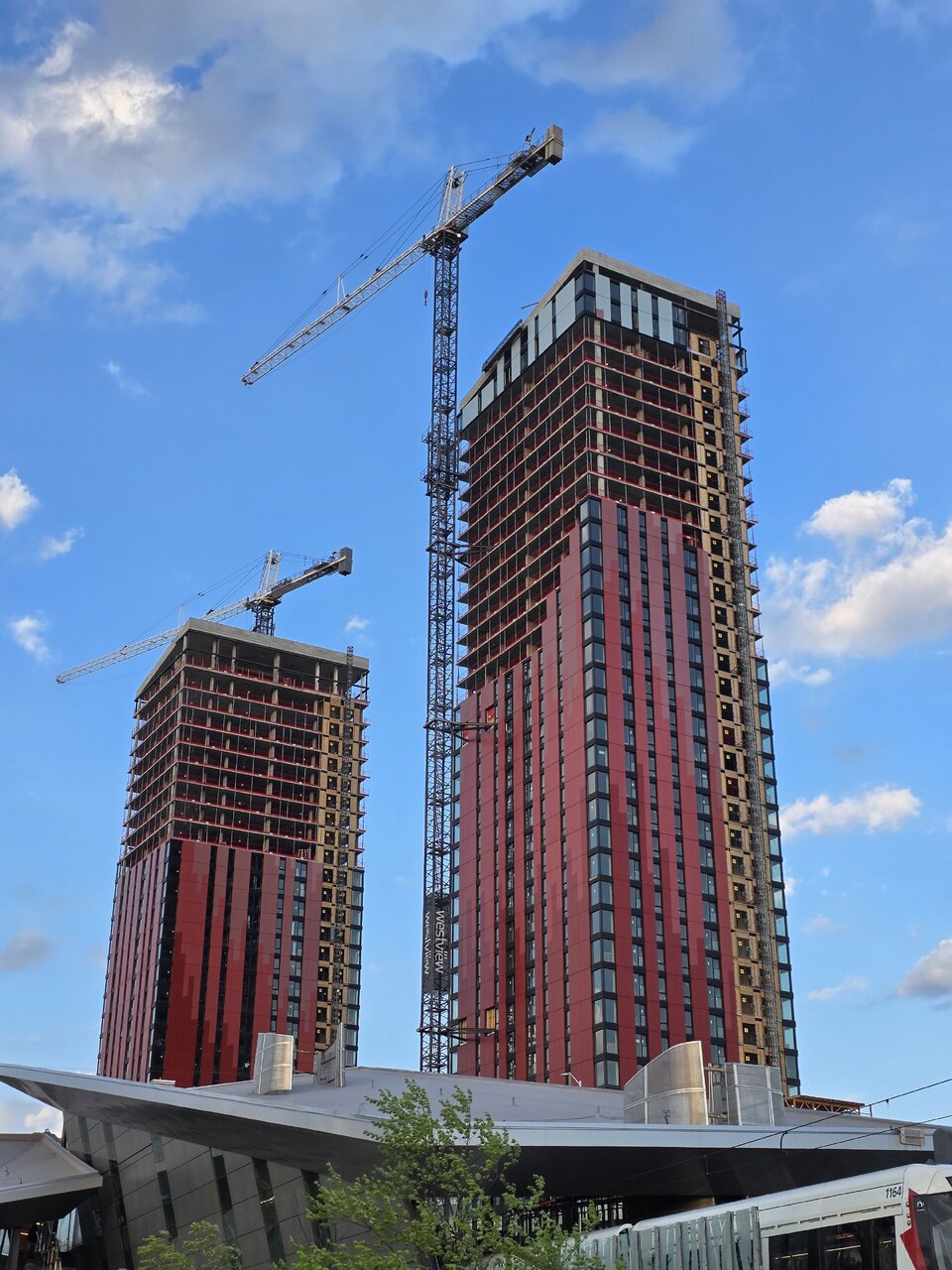 20260526_194802.jpg