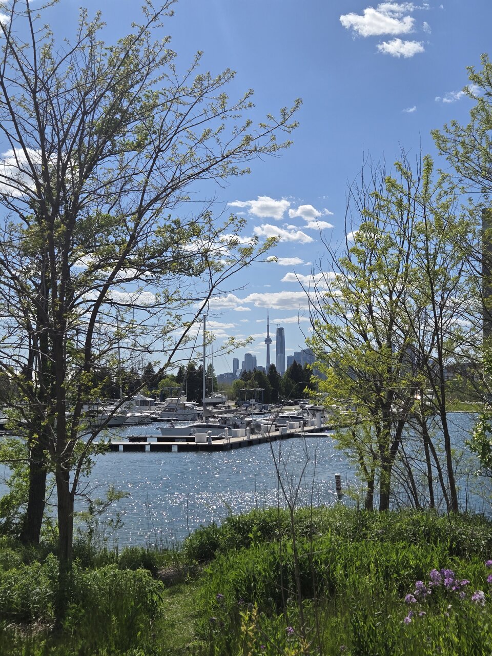 20260531_161427.jpg