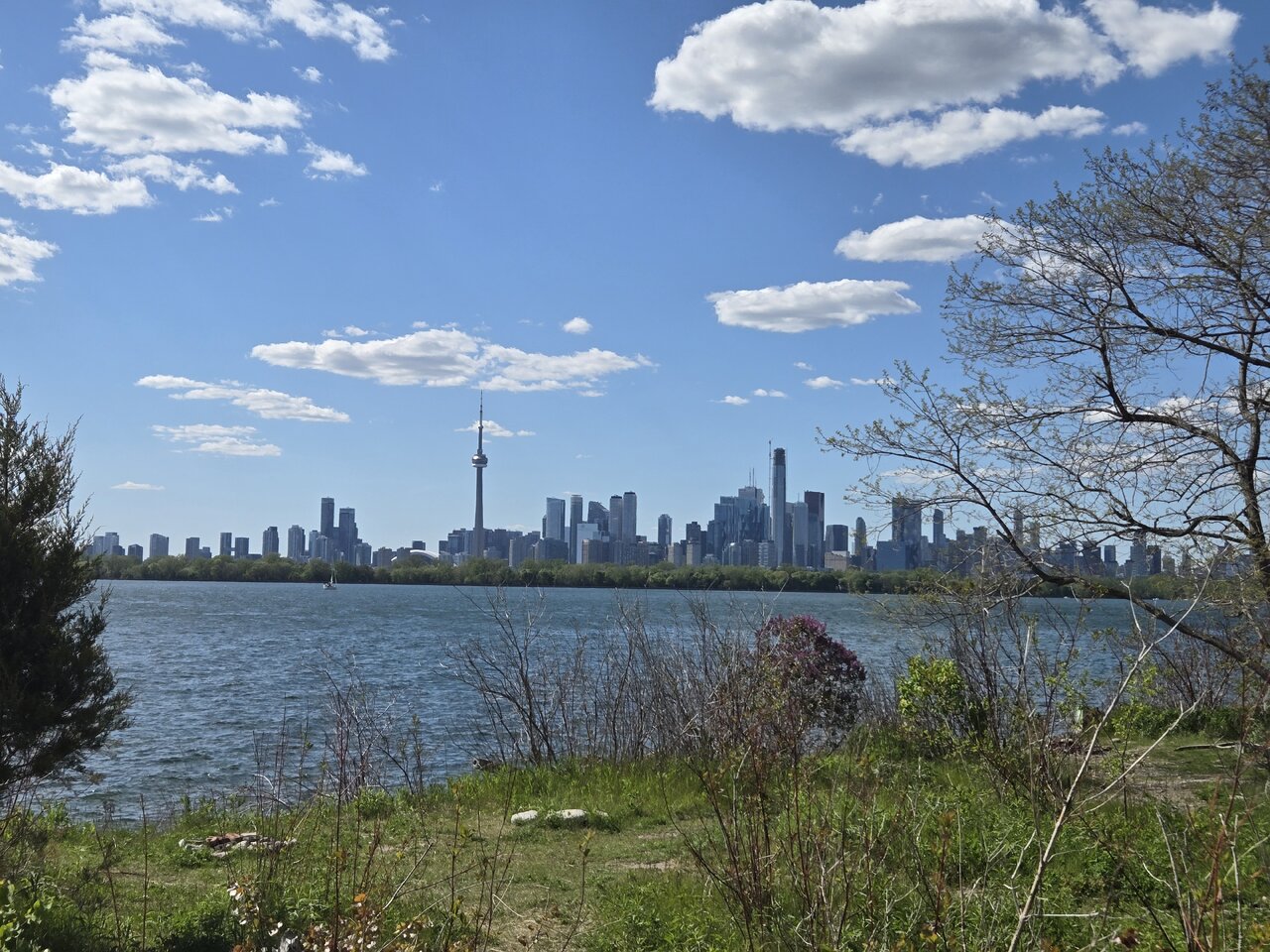 20260531_162755.jpg