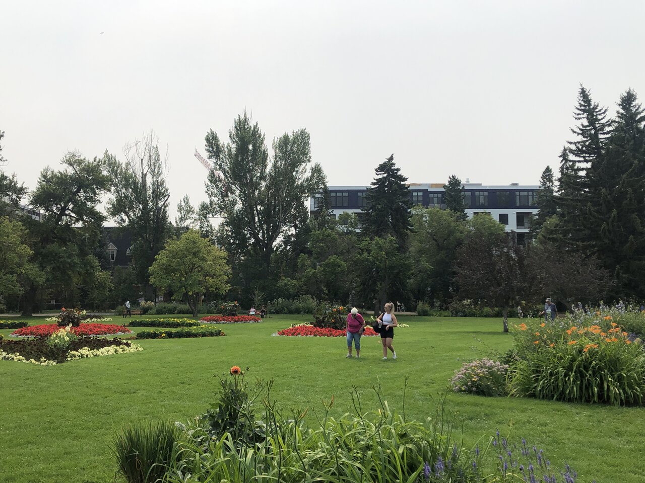 225C6547-1B5D-4A77-B61F-957EBE030FCD.jpeg