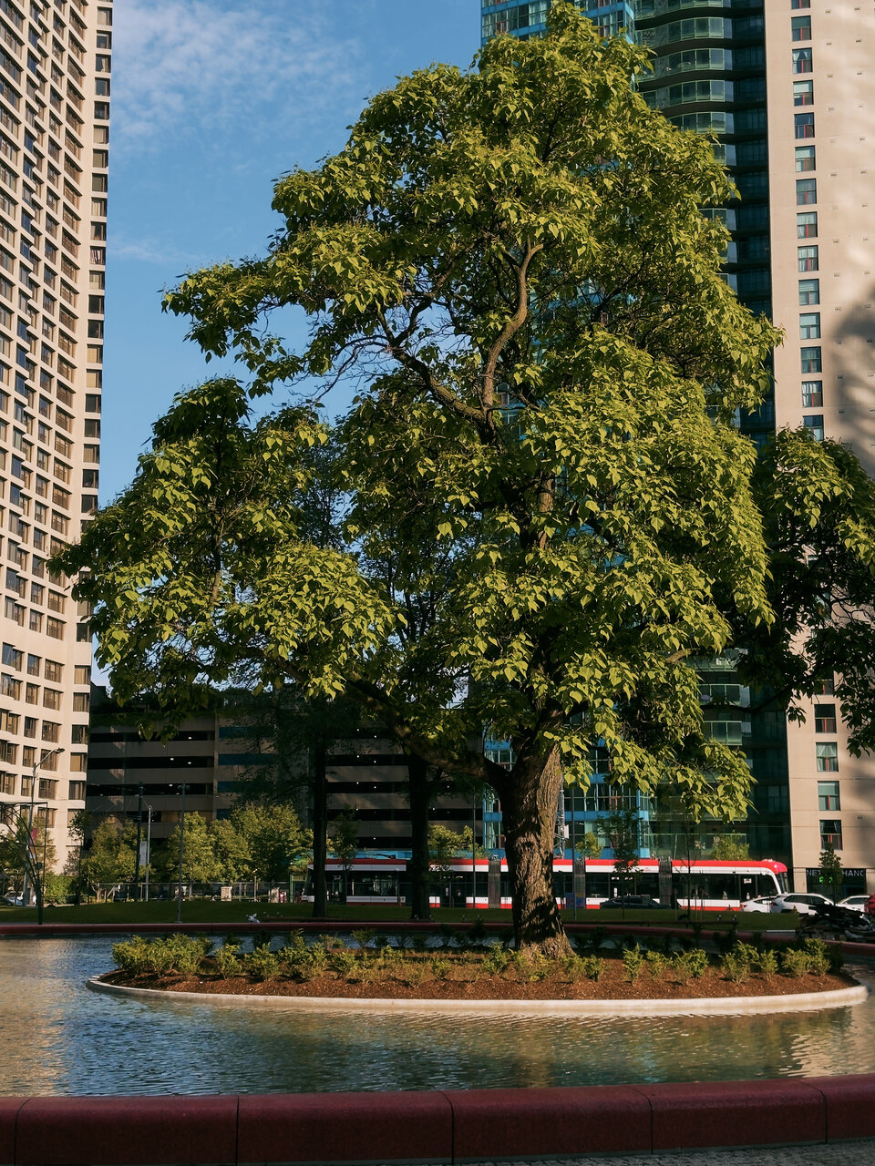 23-0614_LovePark03.jpg