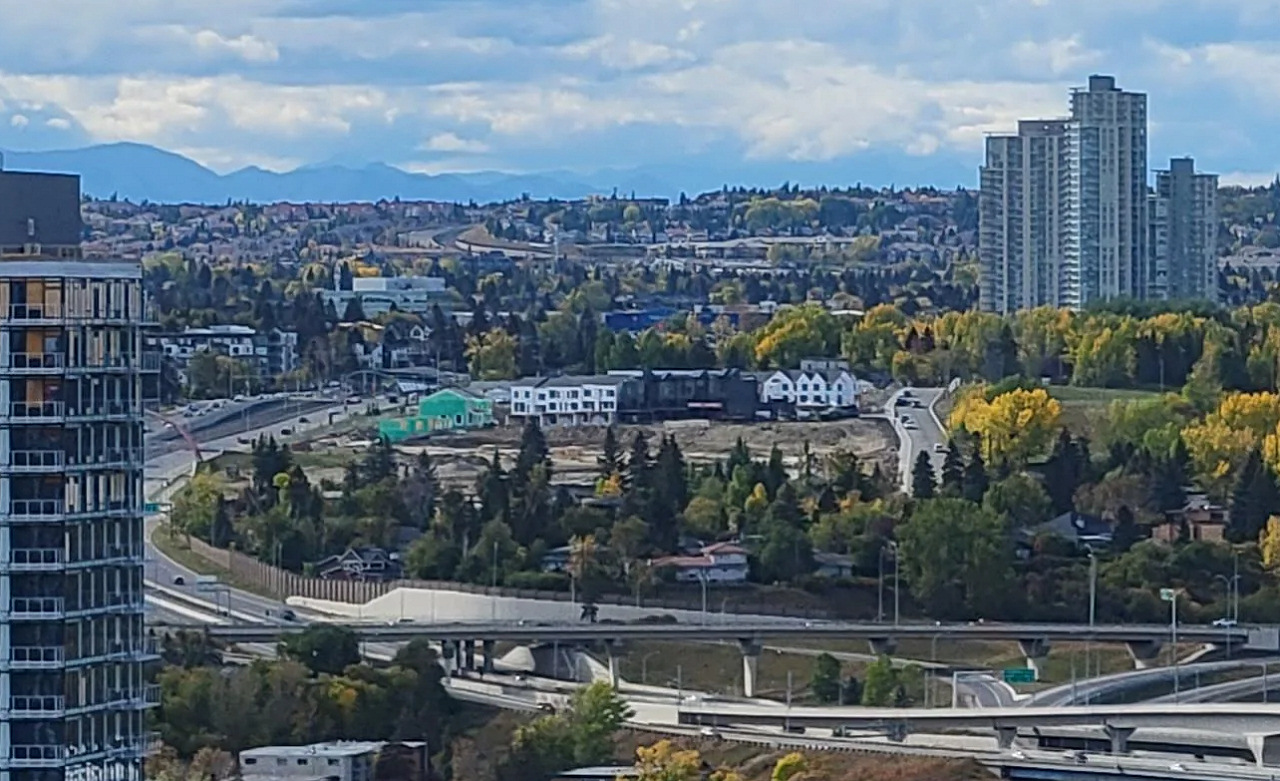 245.jpg