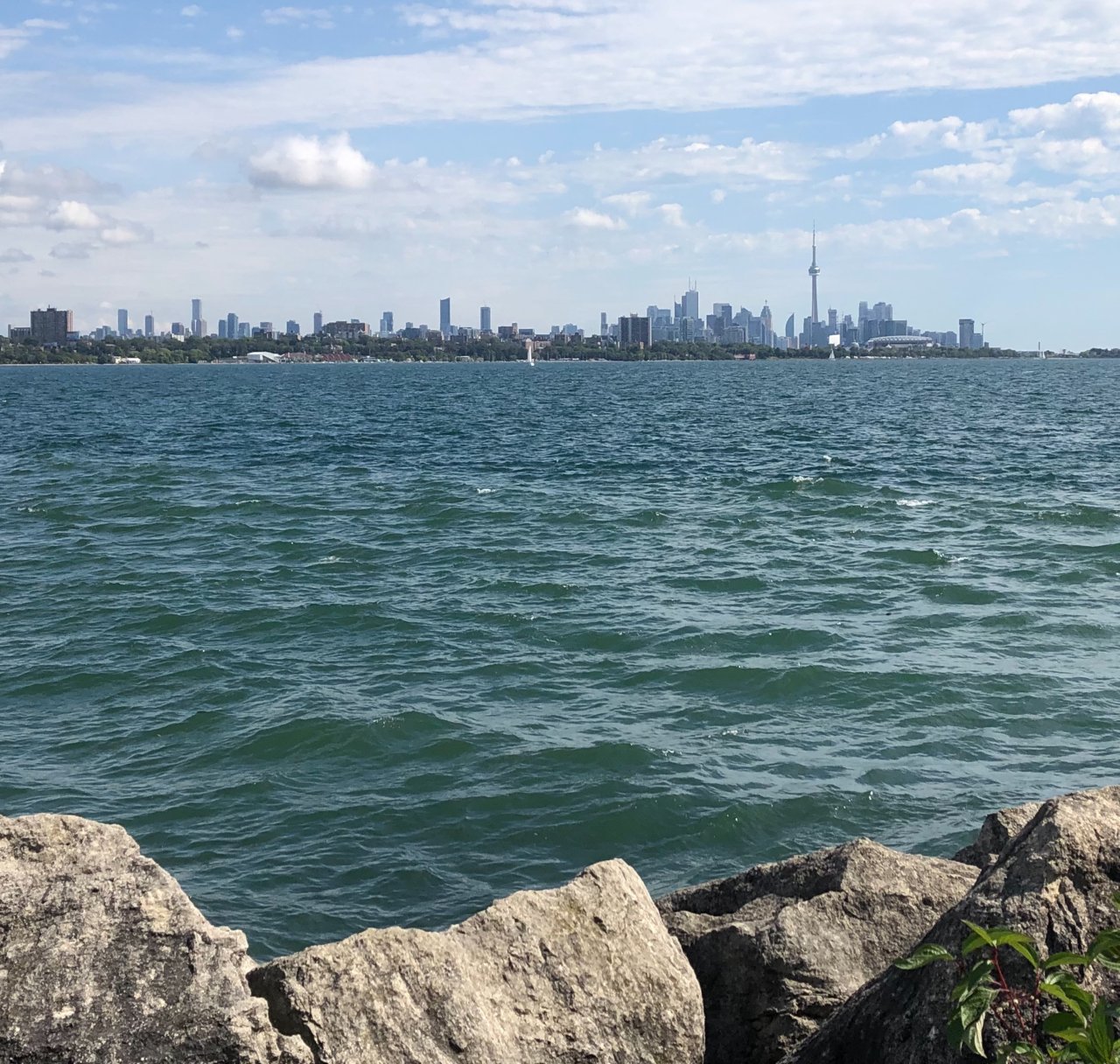 2933389D-7890-498E-ADF0-7B162E41DF92.jpeg