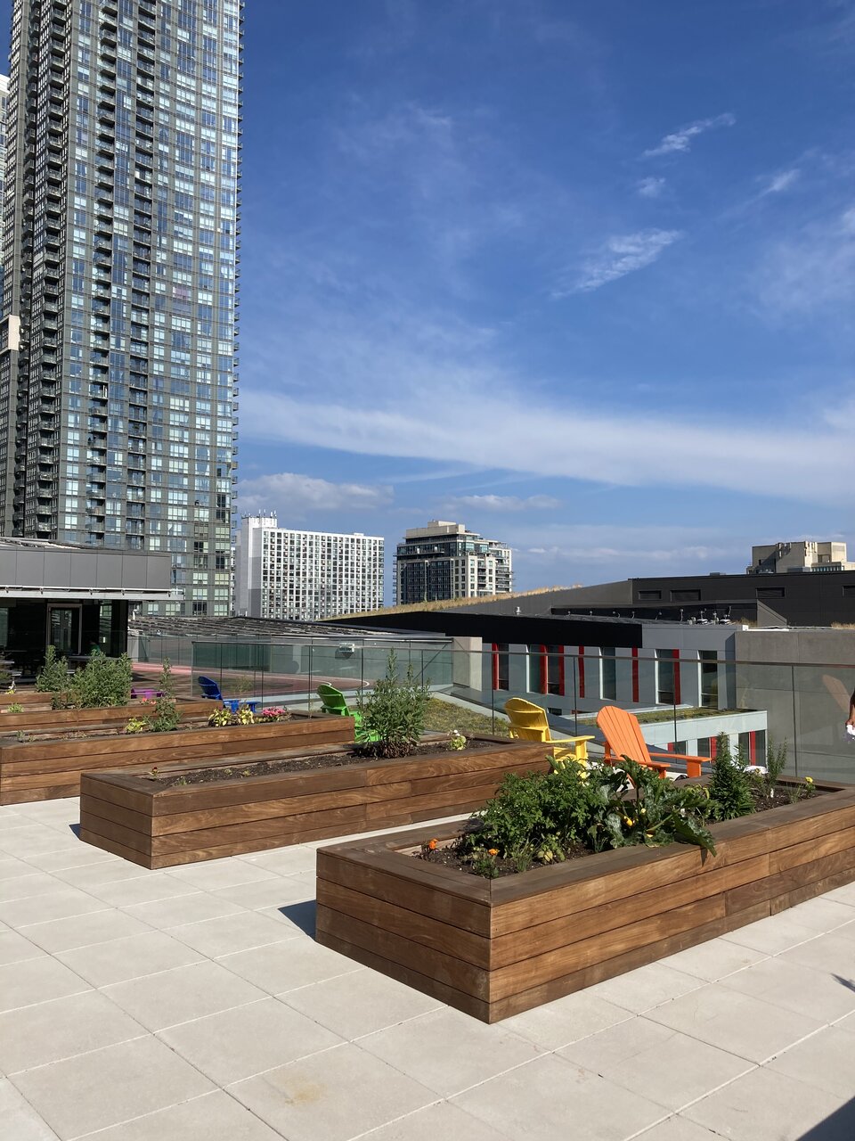 337EB98D-BA90-46B6-BD61-5DACDC037939.jpeg 337EB98D-BA90-46B6-BD61-5DACDC037939.jpeg