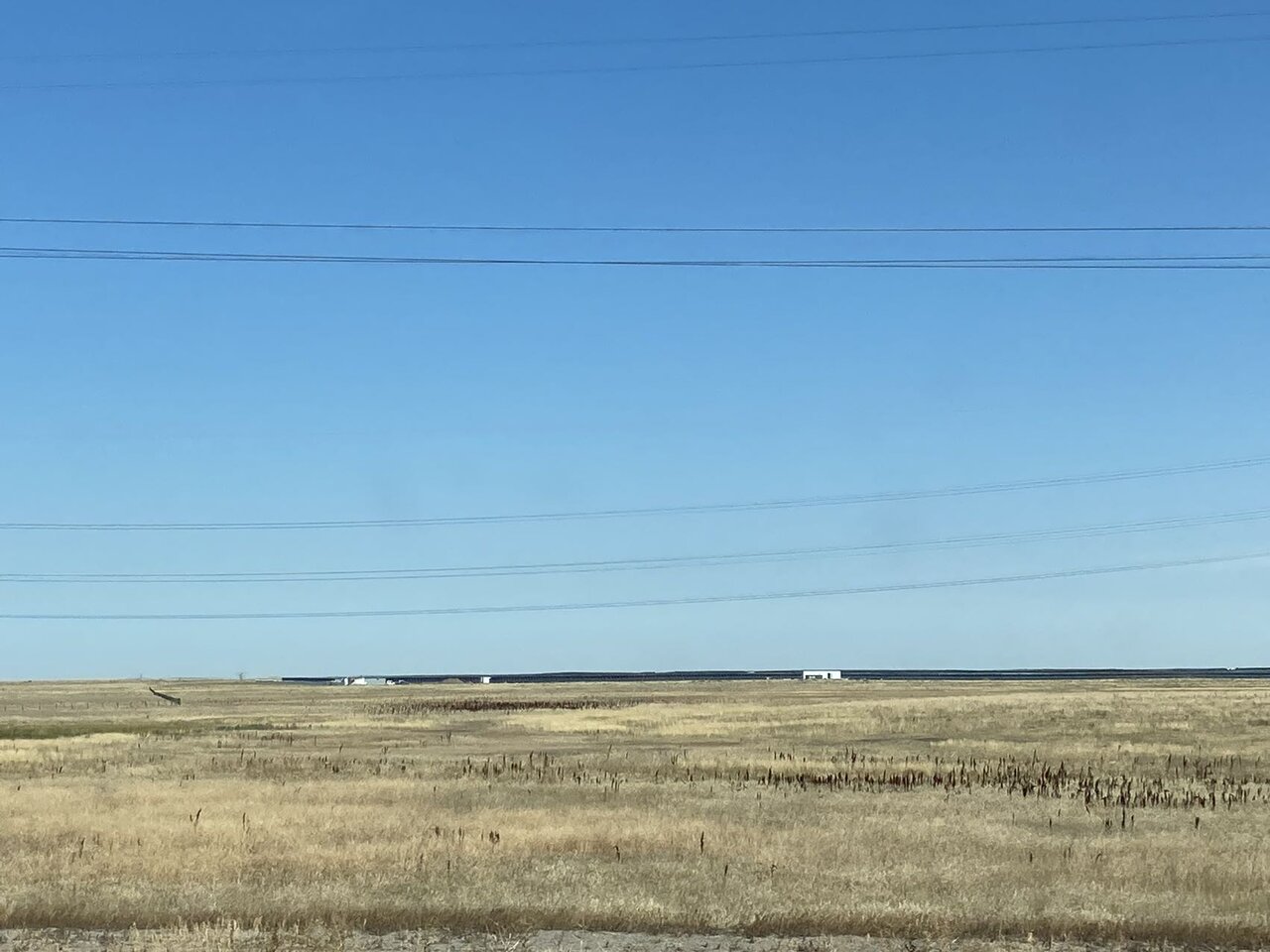 377356596.jpg