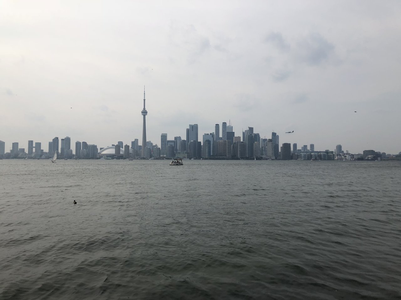 3B54895F-9246-4187-AD31-81A9E2288D83.jpeg