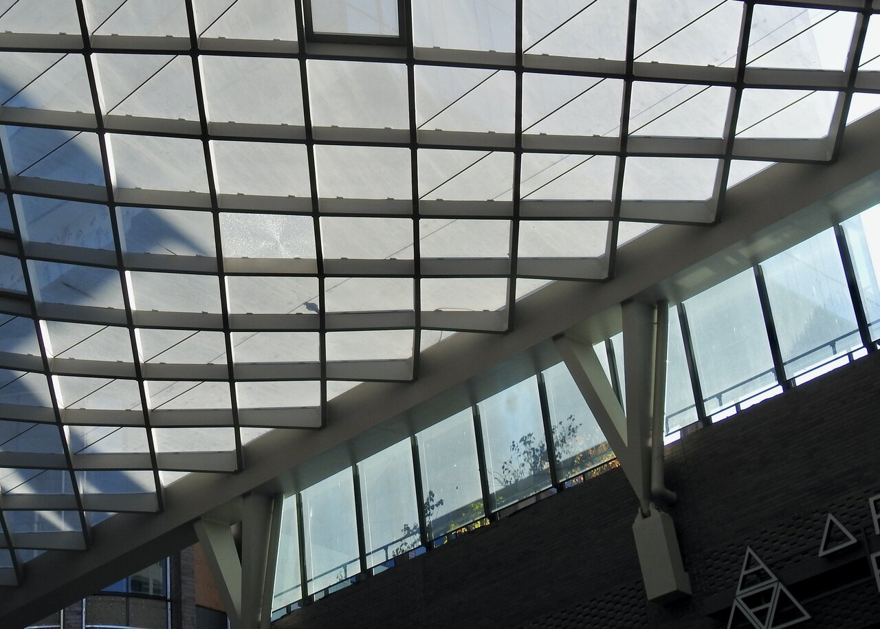 3D552956-4638-4759-98CF-033E3FE70484_1_201_a.jpeg