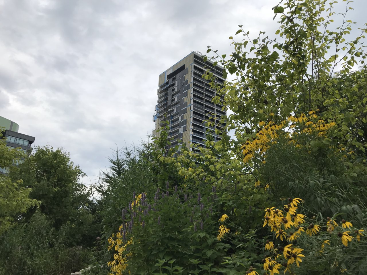44A629BB-E015-4EE8-AD7C-13FDA13CAA4B.jpeg