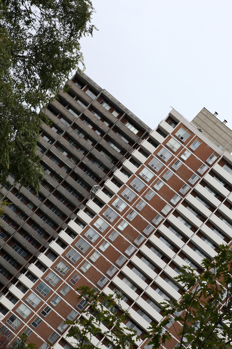 561_4800.jpg