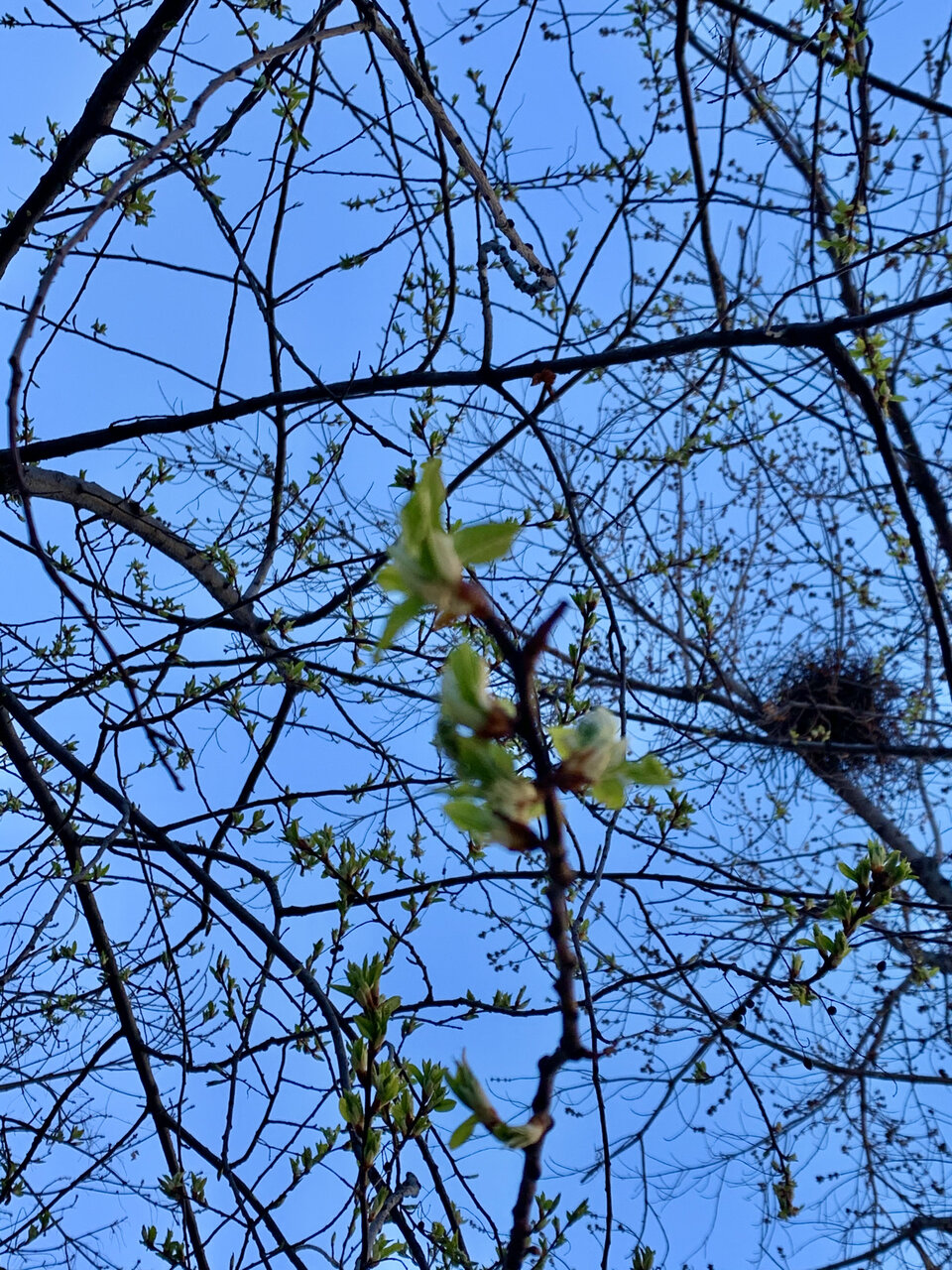 64567574-CB8A-47F9-970D-570DA0E14EF4.jpeg