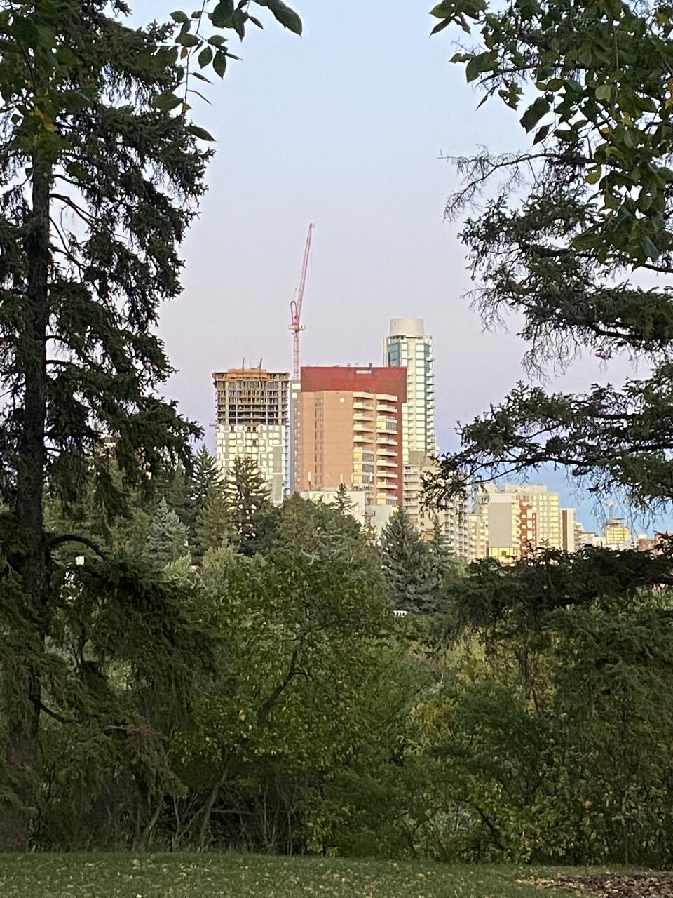 6CC0417B-FF48-483E-AECC-BADA7F4E4E81.jpeg