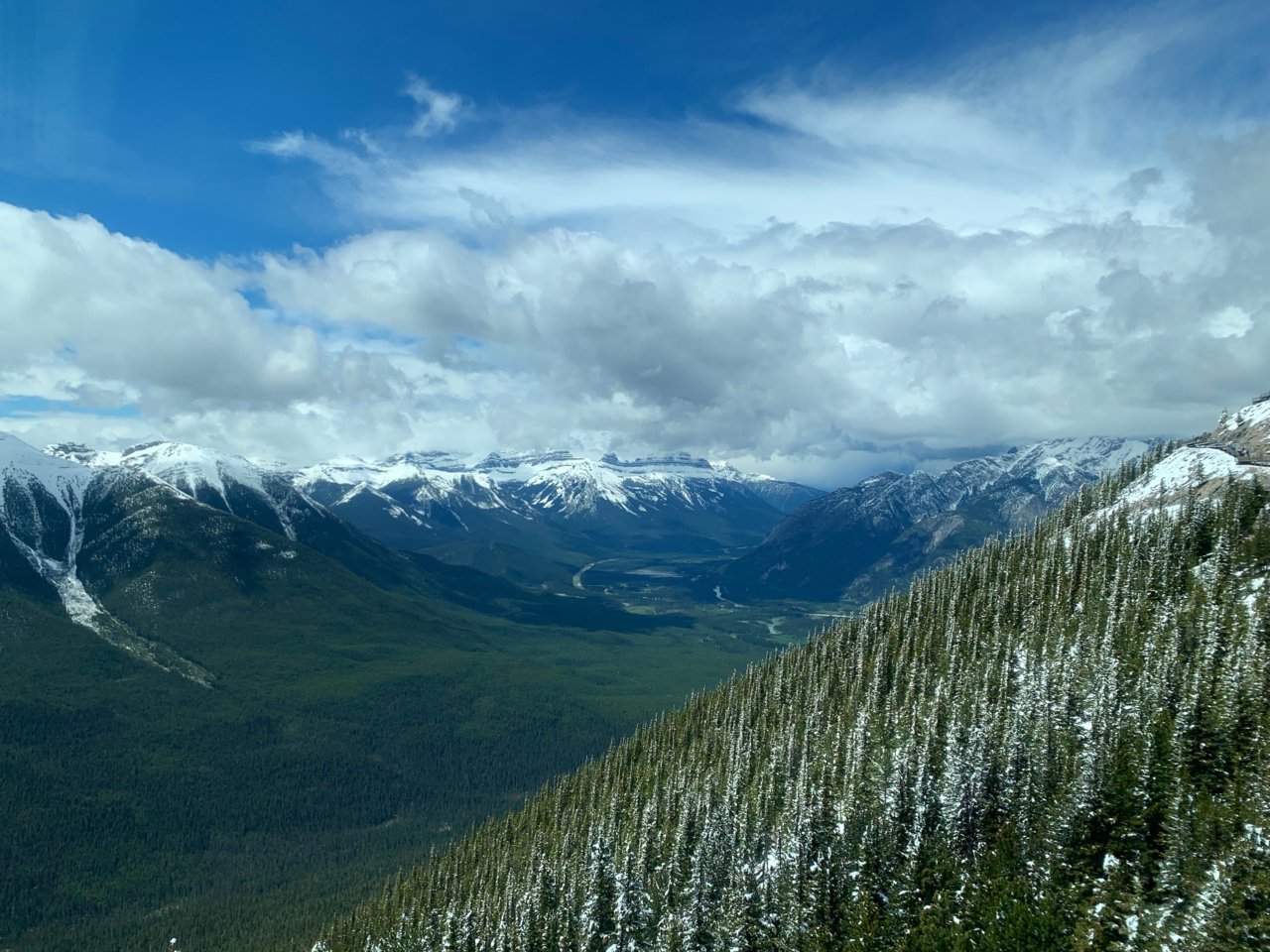 76E483A5-1A02-41F0-BC0D-DB535D6CB9C0.jpg