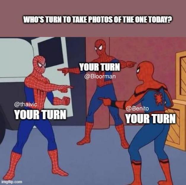 7my9m9.jpg