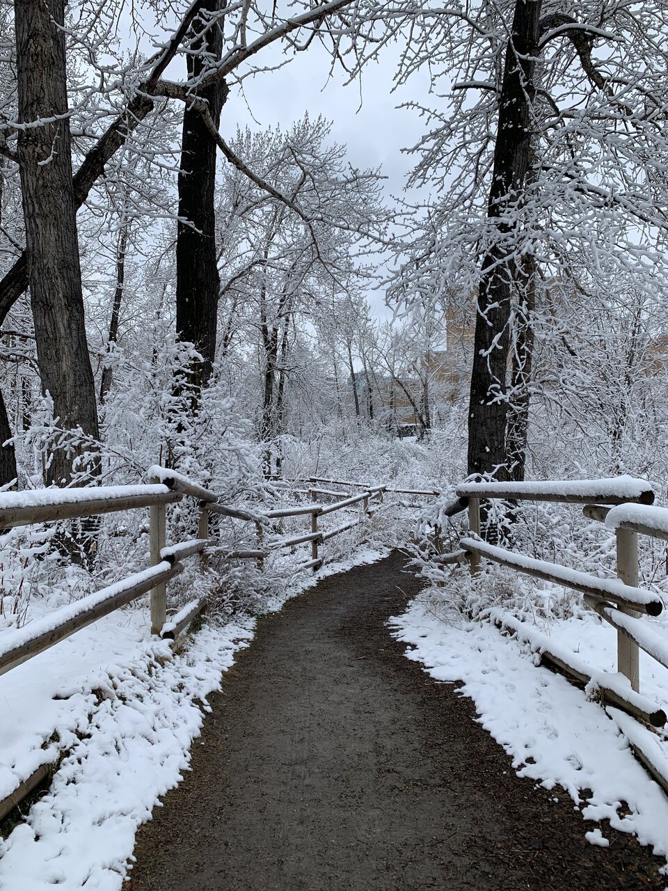 8C05784D-6656-46DF-98BF-93F4C43AD6A6.jpeg