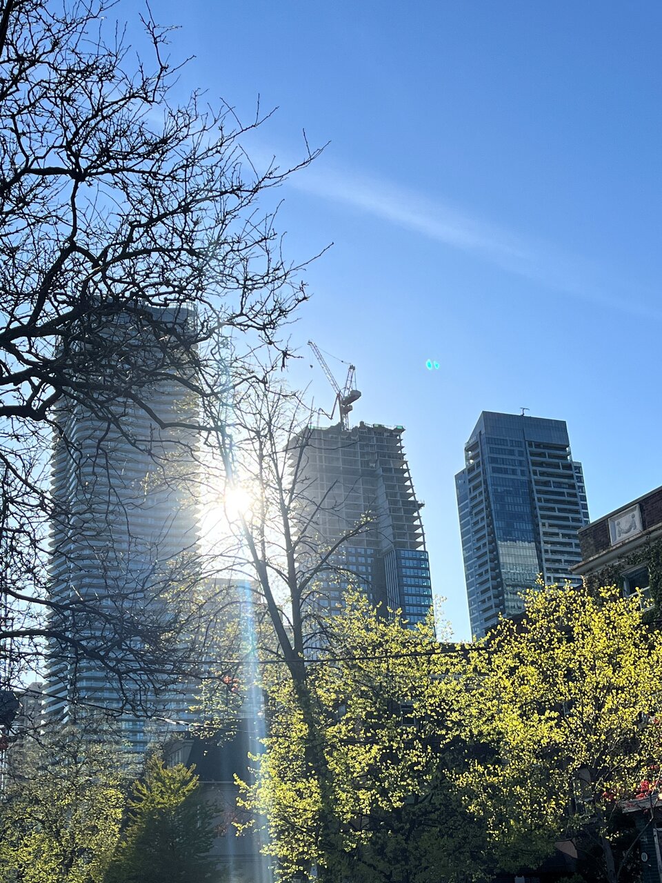 8Wellesley_1.jpg