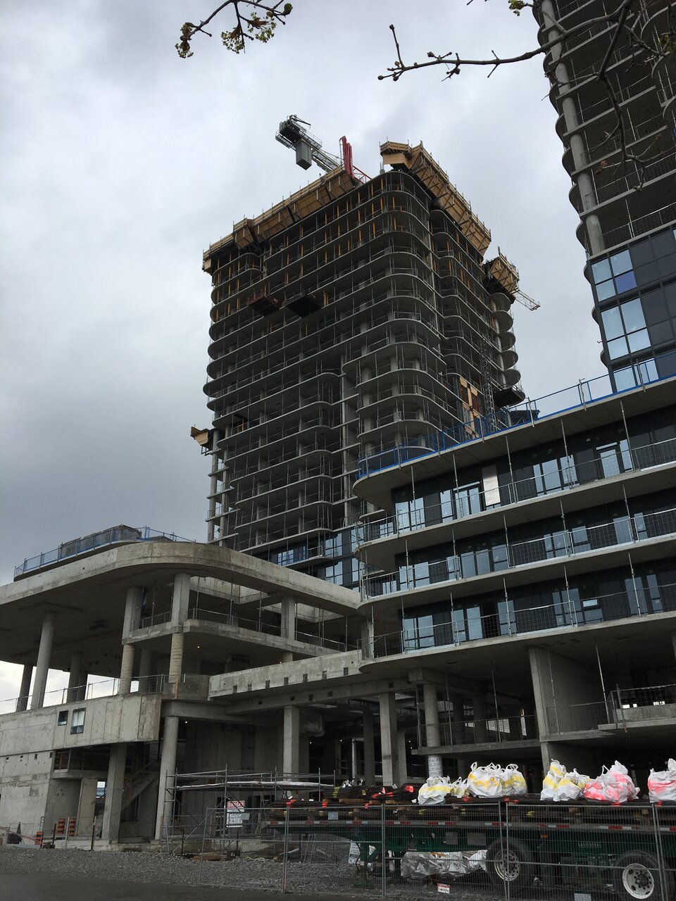 920CD93B-1F78-4FA5-B34E-2C7E295FD6E7.jpeg