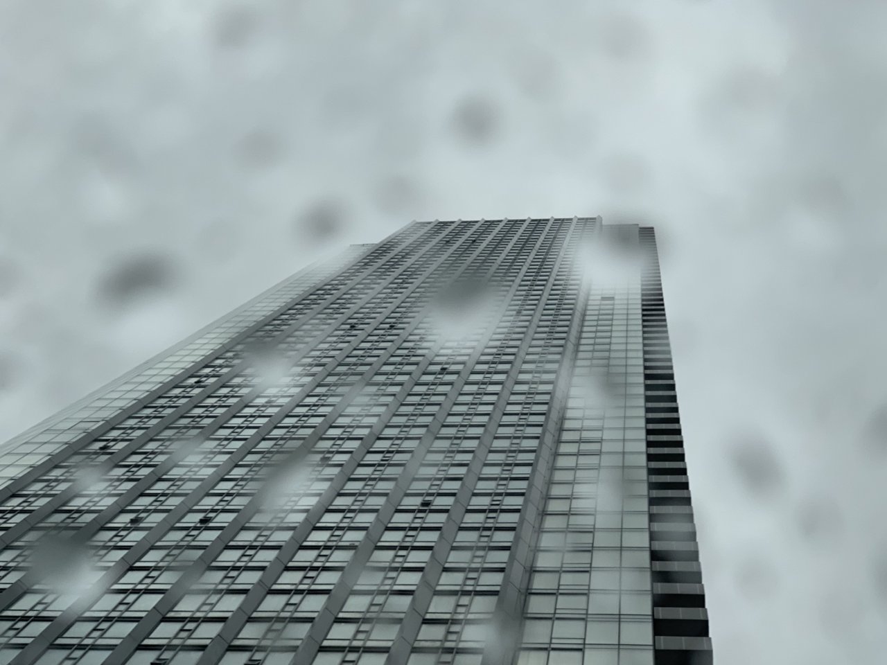 92D58AEE-38D0-471A-9B16-81EBC759E4C6.jpeg