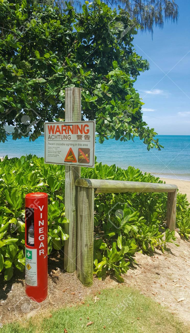 93226985-warning-sign-for-marine-stingers-and-crocodiles-at-the-beach-at-cairns-queensland-aus...jpg