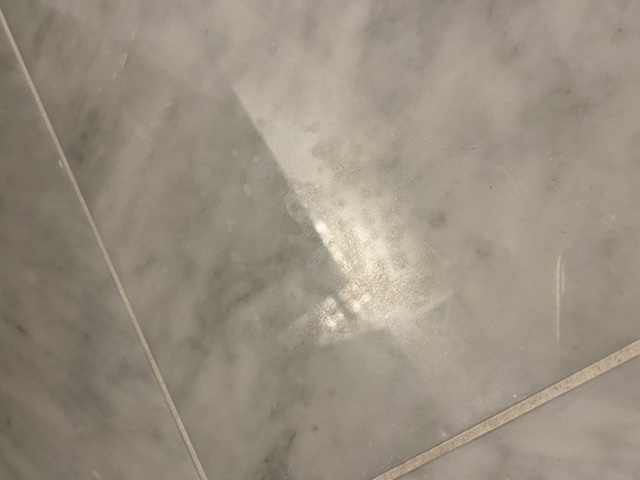 9496D491-8DF9-459C-8B8C-44FA5C024F71.jpeg