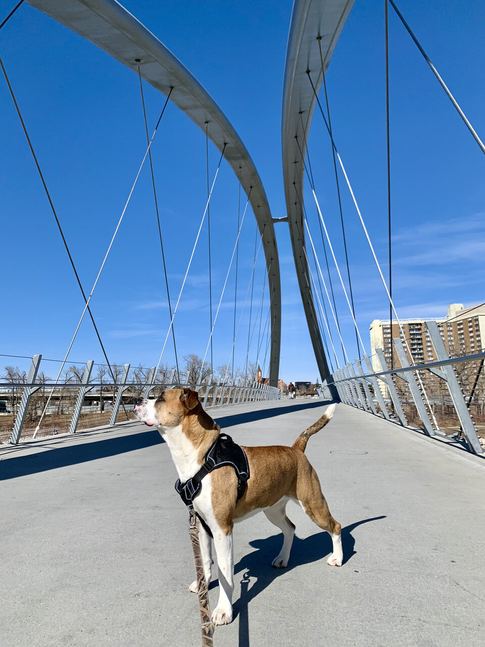 97028639-A92F-4A33-9062-F8A9B1238725.jpeg