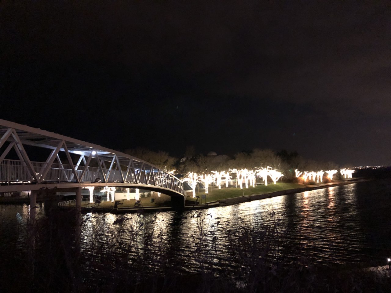 A5851D29-FDE7-4272-809B-308B4B117AF4.jpeg